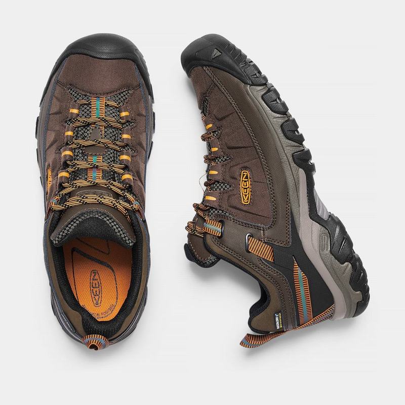 Keen Targhee Exp Waterproof - Erkek Trekking Ayakkabısı - Kahverengi - Turkey (237865VBF)